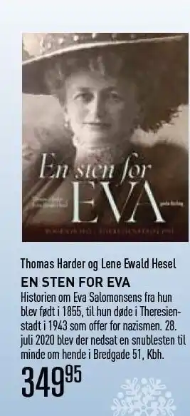 En sten for eva