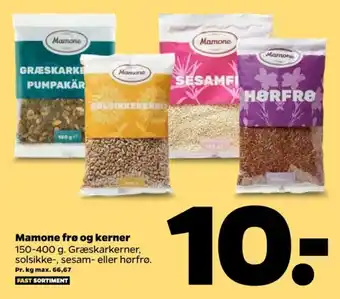 Netto Mamone græskarkerner tilbud