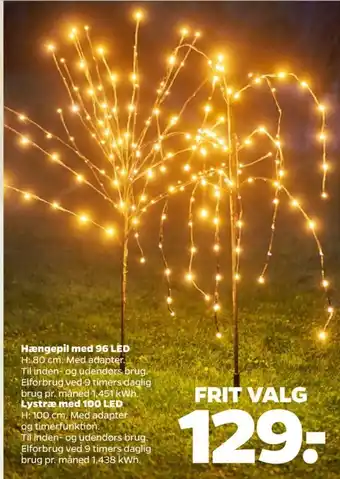 Netto Ukendt lystræ tilbud
