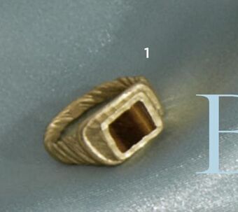 Salling Maanesten ring tilbud
