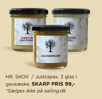 Salling Hr. skov / juletapas tilbud