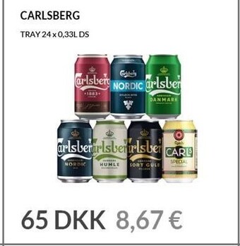 Nielsen's Discount Carlsberg tilbud