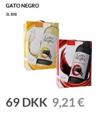 Gato negro
