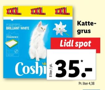 Lidl Coshida kattegrus tilbud