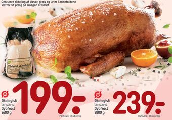 REMA 1000 Ukendt and tilbud