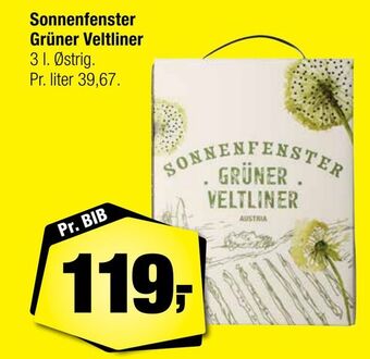 Sonnenfenster grüner veltliner