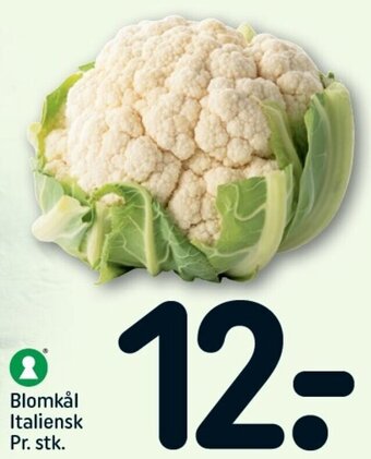 REMA 1000 Blomkål tilbud
