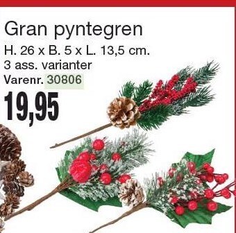 Harald Nyborg Gran pyntegren tilbud