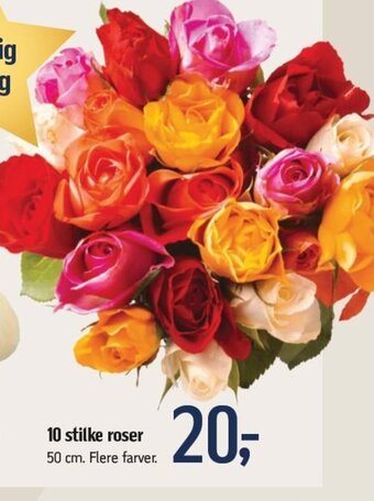 Føtex 10 Stilke roser tilbud