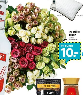 Bilka 10 stilke roser tilbud