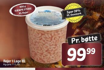 Rejer i lage xl