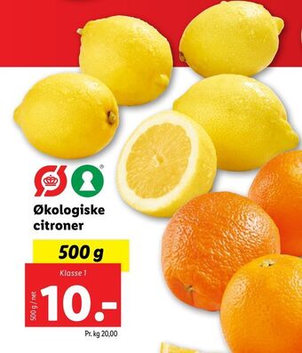Lidl Økologiske citroner tilbud