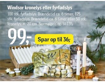 Føtex Windsor kronelys eller fyrfadslys tilbud