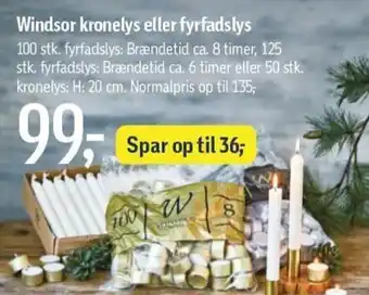 Føtex Windsor Kronelys Eller Fyrfadslys tilbud