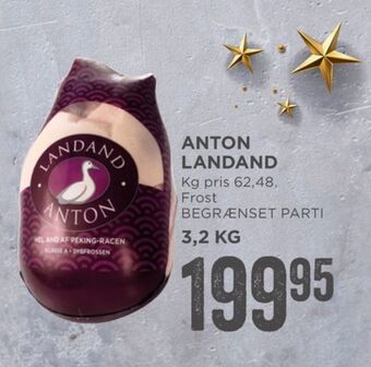 Anton and
