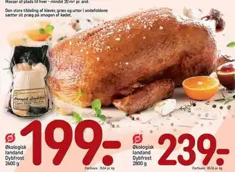 REMA 1000 Øko landand tilbud