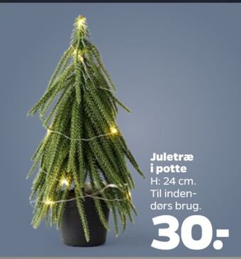 Netto Ukendt kunstig juletræ tilbud