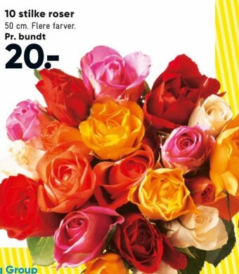 Bilka 10 Stilke roser tilbud