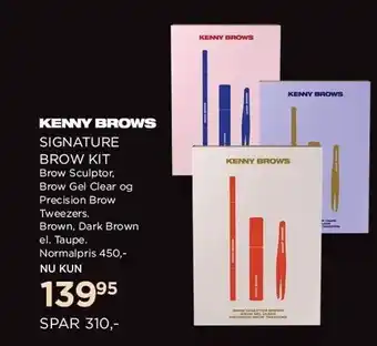 Signature brow kit