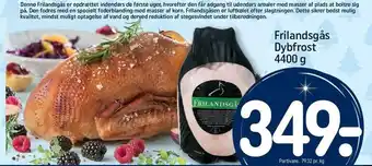 Frilandsgås