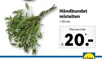 Håndbundet mistelten