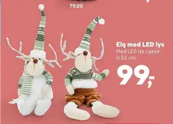 SuperBrugsen Elg med led lys tilbud