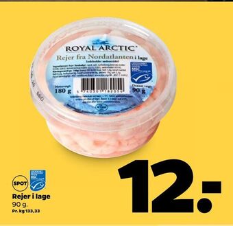 Netto Rejer i lage tilbud