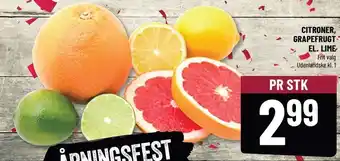 Løvbjerg Citroner, grapefrugt el. lime tilbud
