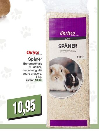 Spåner