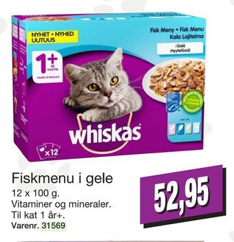 Fiskmenu i gele