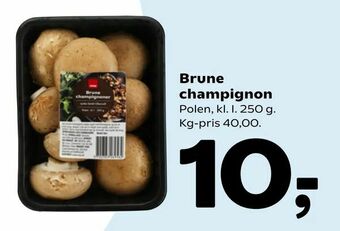 Coop 365 Brune champignon tilbud