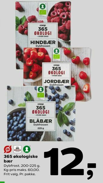 Coop 365 365 økologiske bær tilbud