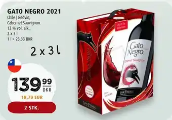 Gato negro 2021