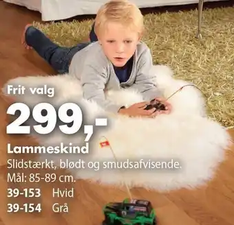Lammeskind