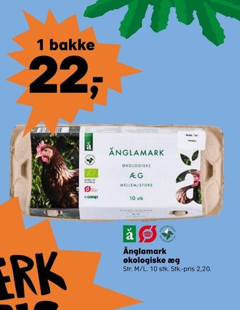 SuperBrugsen Änglamark økologiske æg tilbud