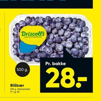 Bilka Blåbær tilbud