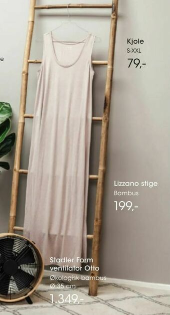 Lizzano stige