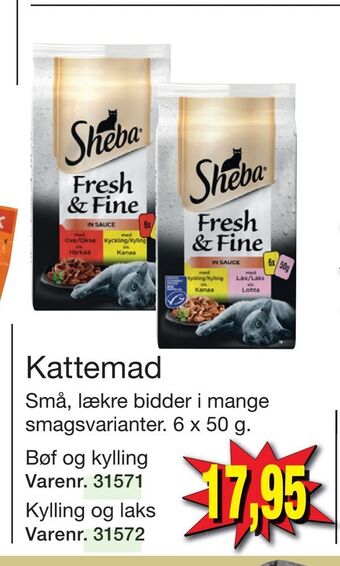 Harald Nyborg Kattemad tilbud