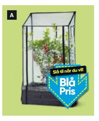 Bilka Plastdrivhus til kapilærkasse eller kapilærkasseskjuler tilbud