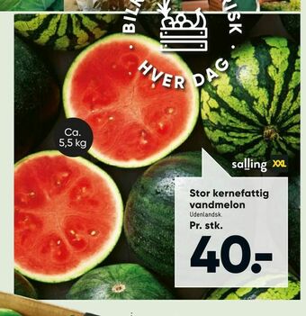 Stor kernefattig vandmelon