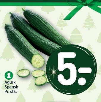 REMA 1000 Agurk tilbud