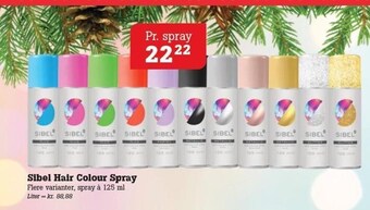 Poetzsch Padborg Sibel hair colour spray tilbud