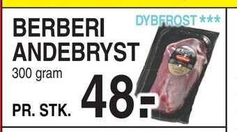 Berberi andebryst