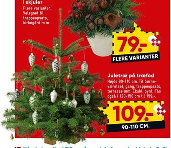 Bilka Juletræ på træfod tilbud