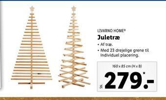 Lidl Juletræ tilbud