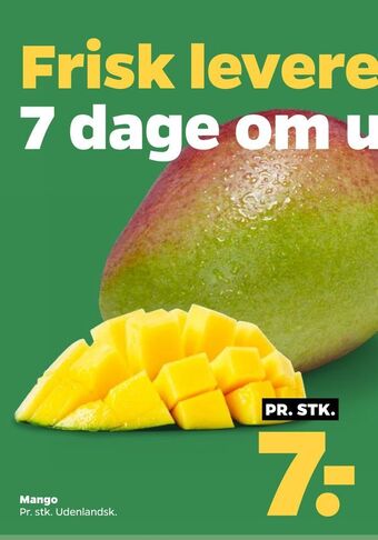 Netto Mango tilbud