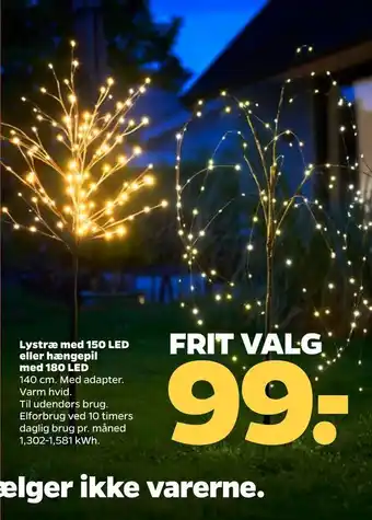 Netto Lystræ med 150 led eller hængepil med 180 led tilbud