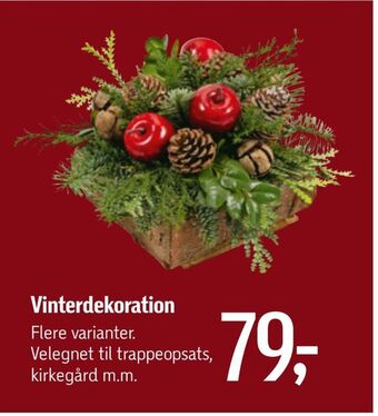 Føtex Vinterdekoration tilbud