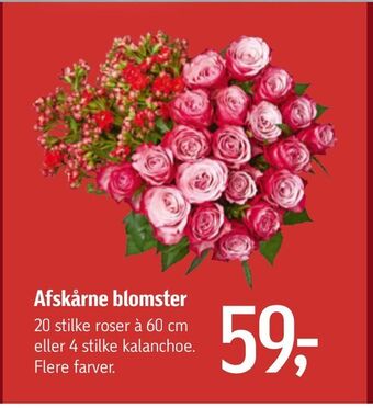 Føtex Afskårne blomster tilbud