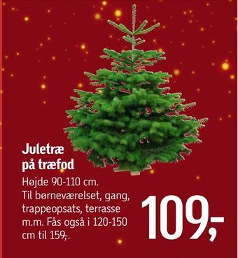 Juletræ på træfod